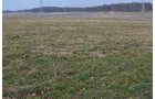 Property photo 5 - 98+/- Acres Offered in 6 Tracts or Combinations, Noble County, Indiana Farm